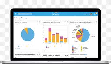 Workday Dashboard
